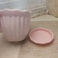 گلدان سفالی|گل و گیاه طبیعی|جیرفت, |دیوار