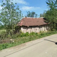 زمین شفت روستا بیجار سر|فروش زمین و ملک کلنگی|رشت, سلیمانداراب|دیوار