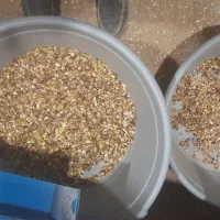 دستگاه پسته شکن|خدمات باغبانی و درختکاری|بیرجند, |دیوار