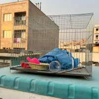 قفس|لوازم جانبی حیوانات|تهران, اوقاف|دیوار