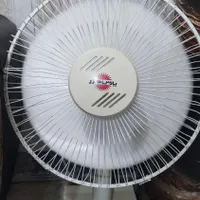 پنکه