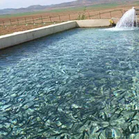 ااجاره استخر ماهی