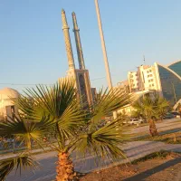 راننده پایه یک هستم