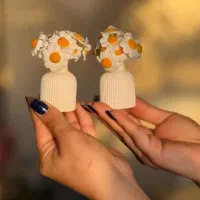 گلدون های چوبی دکوری سفالی|گل مصنوعی|تهران, خلیج فارس|دیوار