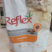 غذای گربه برند رفلکس