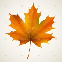 برگ کیلویی هزار تمیز تناژ بالا فروشنده تماس