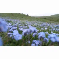 زمین4هزارمتری-دیلمان