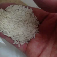 برنج هاشمی درجه یک