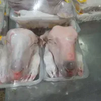 کله و پاچه