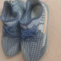 کفش بچگانه|کفش و لباس بچه|تالش, هشتپر|دیوار