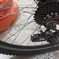 دوچرخه 26|دوچرخه، اسکیت، اسکوتر|تولم شهر, |دیوار