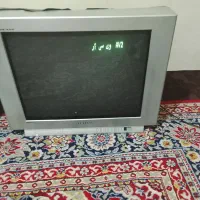 تلویزیون