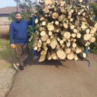 خرید و اخذ انواع چوب آلات جنگلی و باغی|خدمات باغبانی و درختکاری|کلاچای, |دیوار