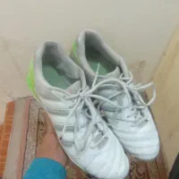 کتونی فوتسال تاپ سالا|کیف، کفش، کمربند|قم, صدوق|دیوار