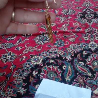 گشواره نونو|جواهرات|سیاهکل, |دیوار