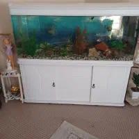 سلام یک عدد شیشه آکواریوم بفروش میرسد|ماهی|بوشهر, |دیوار