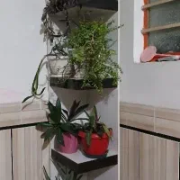 شلف هایگلاس با گلدان ها|کتابخانه، شلف، قفسههای دیواری|دزفول, |دیوار