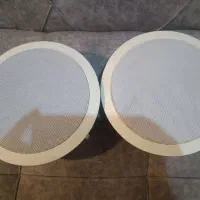 اسپیکر سقفی باند سقفی