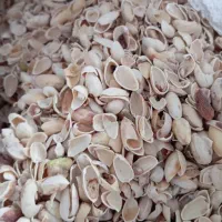راهنمایی میخوام