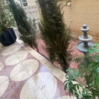 اجاره صندلی احیا و میز ناخن