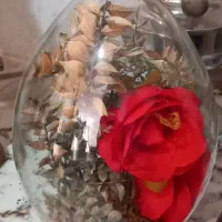 مجسمه|صنایع دستی و سایر لوازم تزئینی|کرج, ملک‌آباد|دیوار