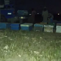 کندو