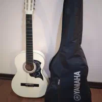 گیتار پائو چیا pao chia