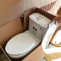 توالت فرنگی اکس ۲۰ و۲۵ برند چینی نوژن فلوریا