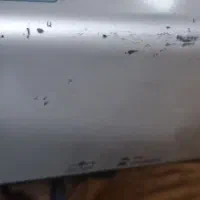 ارگ پیا ۵۰|پیانو، کیبورد، آکاردئون|مرند, |دیوار