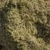 کاه لوبیا چیتی