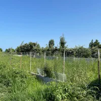 فروش-200-متر-زمین-نزدیک-ساحل-با-ویو-ابدی