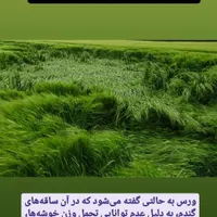 نیازمند کارگر گاوداری