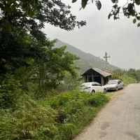 کلبه جنگلی کنار رودخونه ارتفاعات|اجارهٔ کوتاه‌مدت ویلا و باغ|ماسال, |دیوار