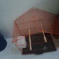 قفس پرنده|لوازم جانبی حیوانات|قرچک, باقرآباد|دیوار