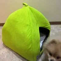 خانه سگ و گربه|لوازم جانبی حیوانات|تهران, قزل قلعه|دیوار