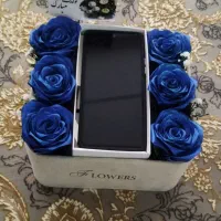 گل ربانی/پول آرایی/|گل مصنوعی|گلبهار, شهر جدید گلبهار|دیوار