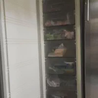 یخچال وفریزرهایسنس|یخچال و فریزر|رشت, استقامت ۱|دیوار