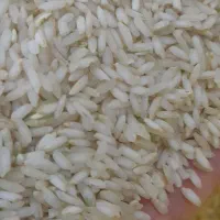 برنج عنبربو معطر اعلاء به قیمت عمده زیر قیمت|خوردنی و آشامیدنی|اصفهان, رزمندگان|دیوار