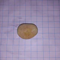 فروش۴عددسنگ قدیمی وزیبا|کلکسیون اشیاء عتیقه|صائین قلعه, |دیوار