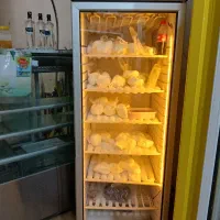 یخچال و فریزر