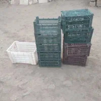 سبد