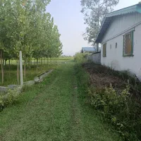 فروش-زمین-300-متری-نزدیک-ساحل-زیباکنار