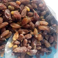 فروش کشمش وافتابی بوانات فروش بالای 100 کیلو|خوردنی و آشامیدنی|خرم بید, |دیوار