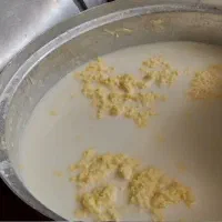 دوغ محلی کردستان ، ارگانیک