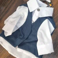 لوازم حیوانات خانگی میوداگ|لوازم جانبی حیوانات|فیروزآباد (فارس), |دیوار