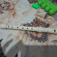 فلوت