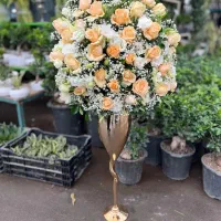 جام گل ترند