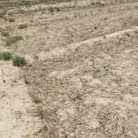 قطعه زمین هزار متری