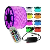 ریسه شلنگی RGB با رابط ریموت و کنترل|ریسه و چراغ تزئینی|نجفآباد, ویلاشهر|دیوار