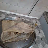 خیک|صنایع دستی و سایر لوازم تزئینی|قم, سید معصوم|دیوار